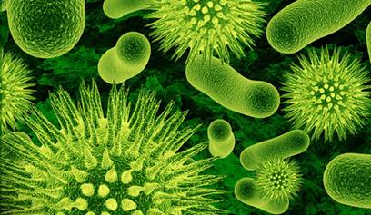 抗生素滥用成危机，超级细菌造成医疗隐忧
