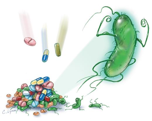 当所有生物都产生了抗生素耐药性 会是怎样的情景？