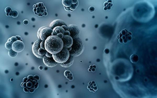 向“超级细菌”宣战！中国科学家率先提出“生物杀菌”新概念